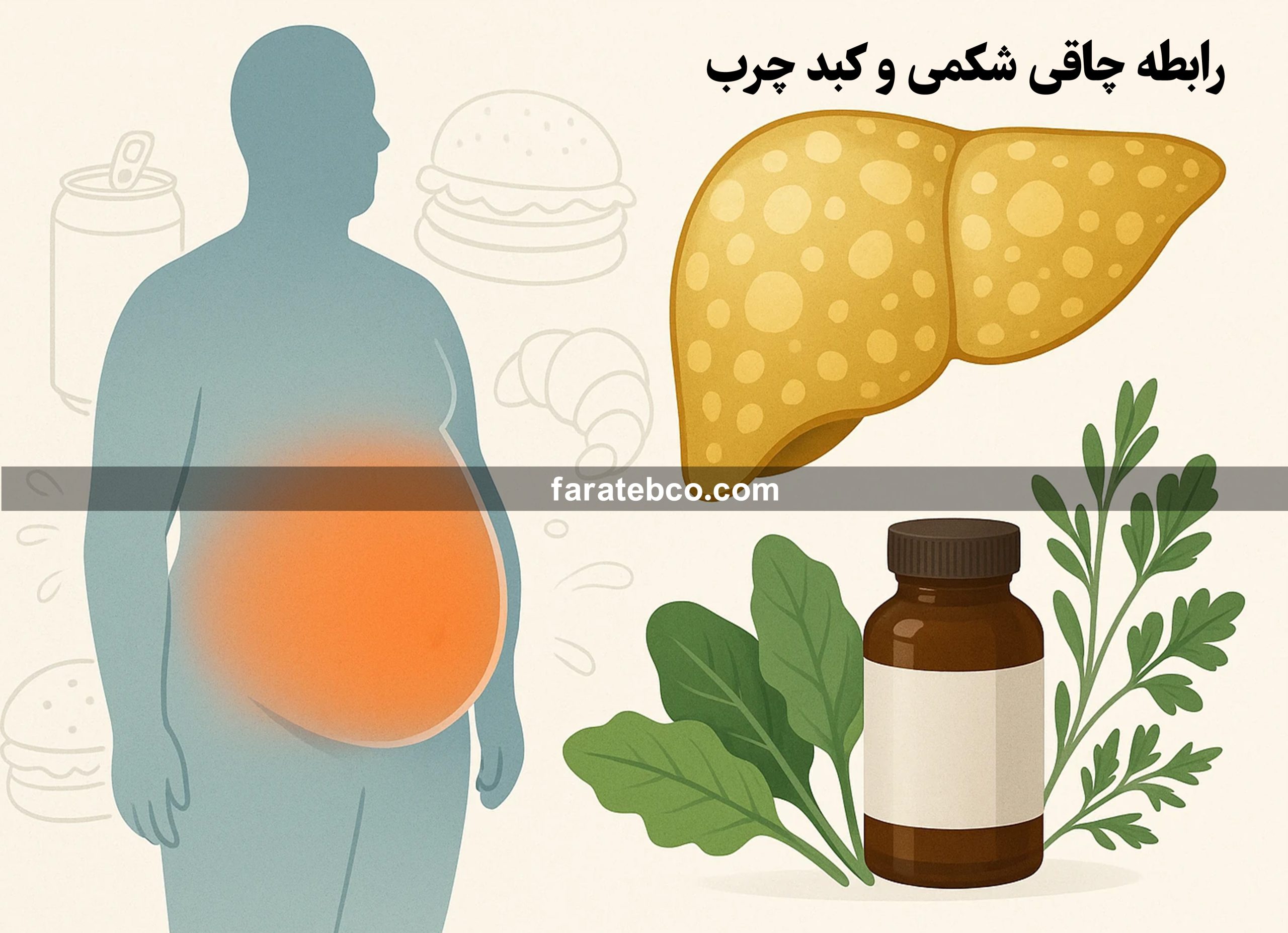 رابطه چاقی شکمی و کبد چرب